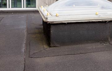 disadvantages of Truemans Heath flat roofs