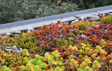 the cost of Truemans Heath green roof installation