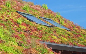 Truemans Heath living roof systems