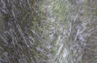 Truemans Heath fibreglass roof work